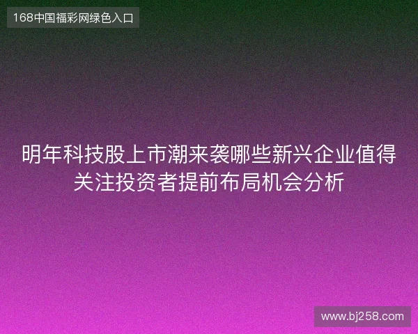 明年科技股上市潮来袭哪些新兴企业值得关注投资者提前布局机会分析